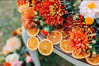 Dried Oranges by the Slice picture