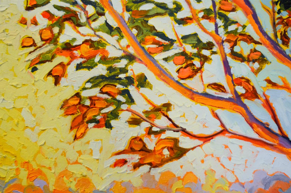 Bajan Summer Breeze picture