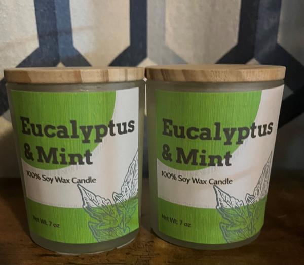 Eucalyptus & Mint - 7 oz soy jar candle