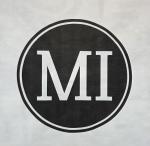 The Mosaic Institute