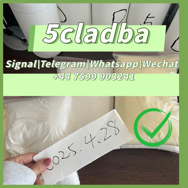 5cladba adbb Precurso