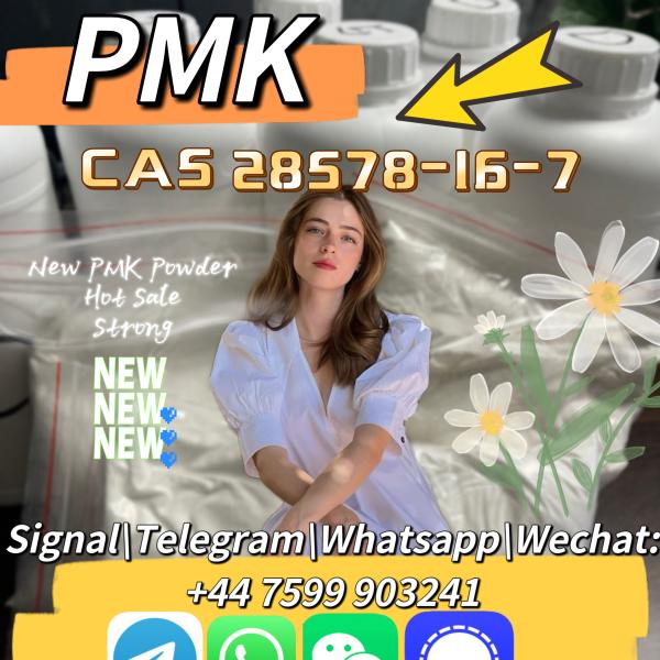 CAS 28578-16-7 PMK ethyl glycidate powder high quality low price