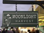 Moonlight Harvest