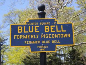 Blue Bell Township logo