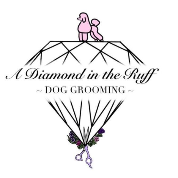 A Diamond in the Ruff