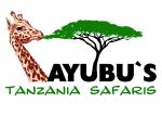 Ayubu's Tanzania Safaris
