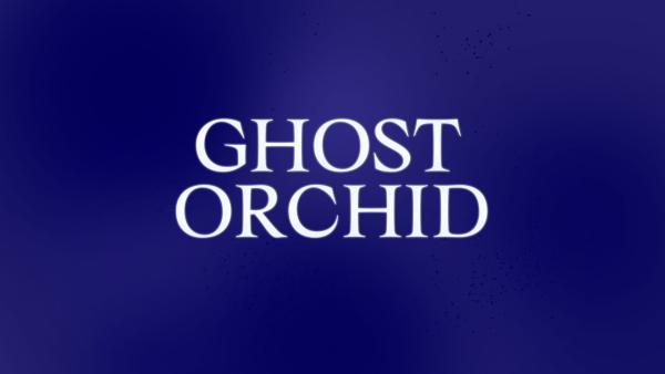 Ghost Orchid