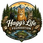 Hagg&rsquo;s Life Foundation