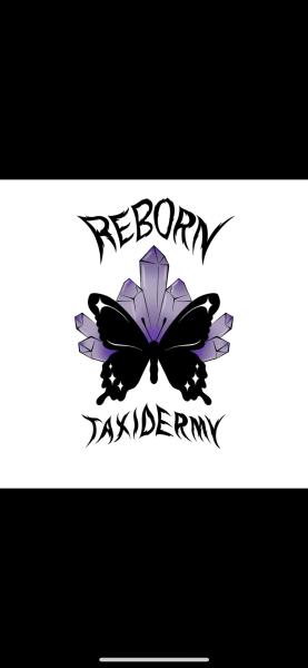 Reborn Taxidermy