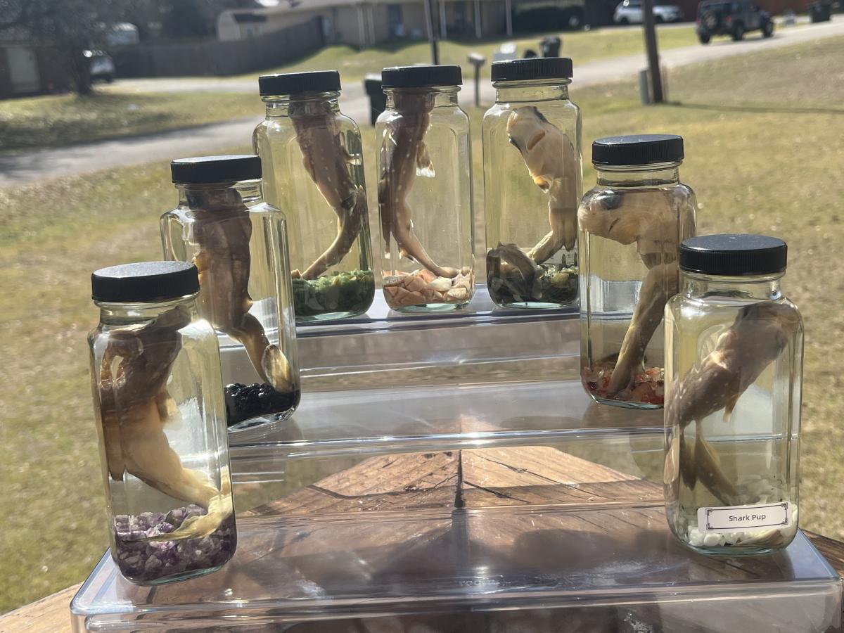 Halfmoon crystals and oddities - Lindale - Texas - United States - Eventeny