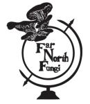 Far North Fungi