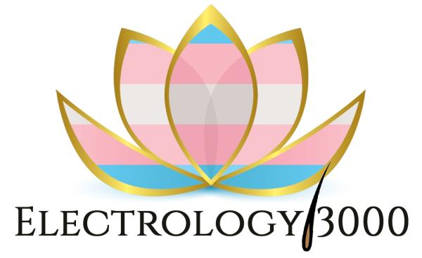 Electrology 3000