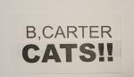 B,Carter Designs