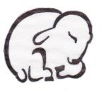Southern Sheep Company