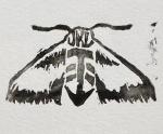 JKL Designs