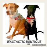 Wagtastic Boutique