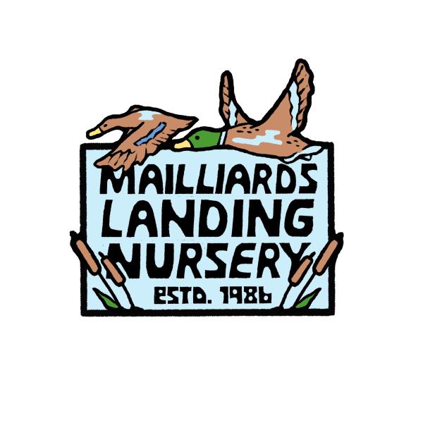 Mailliards Landing Nursery