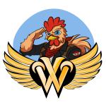 Wings Voyage