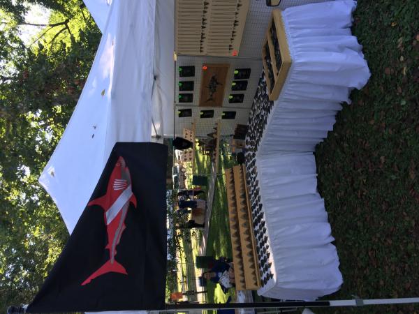 Megalodon Shark Teeth