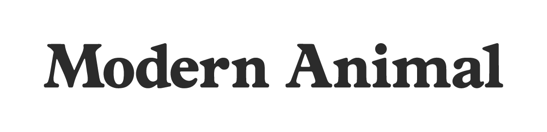 Modern Animal