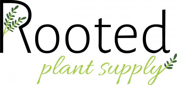 Rooted Plant Supply