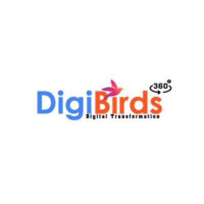 DigiBirds360: Performance Marketing Agency