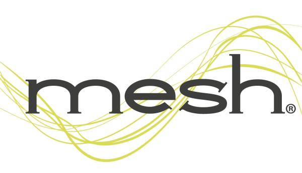 Mesh on Mass