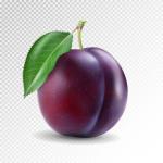 Plum Creations