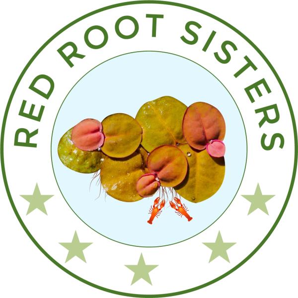 Red Root Sisters