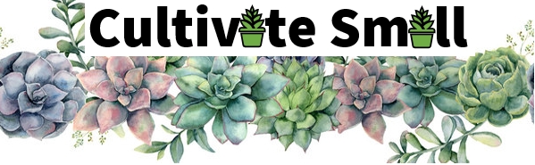 Cultivate Small