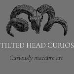 TiltedHeadCurios