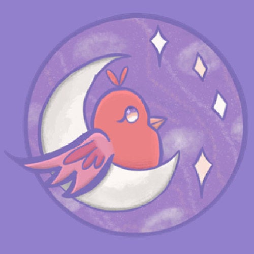 Celestial Skies Studio