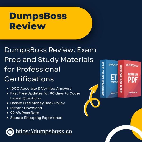 DumpsBoss Review