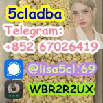 5cladba 5CL-ADBAprecursor 5cl-adba Adbb Jwh018