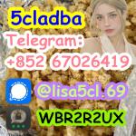 5cladba precursor raw 5cl-adb-a raw material