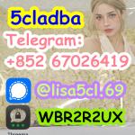 5cladba best cannabinoid 5cladba precursor raw 5cl-adb-a material in stock1399816-54-6