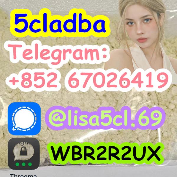 5cladba best cannabinoid 5cladba precursor raw 5cl-adb-a material in stock1399816-54-6
