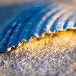 Benjamin DeHaven Photography