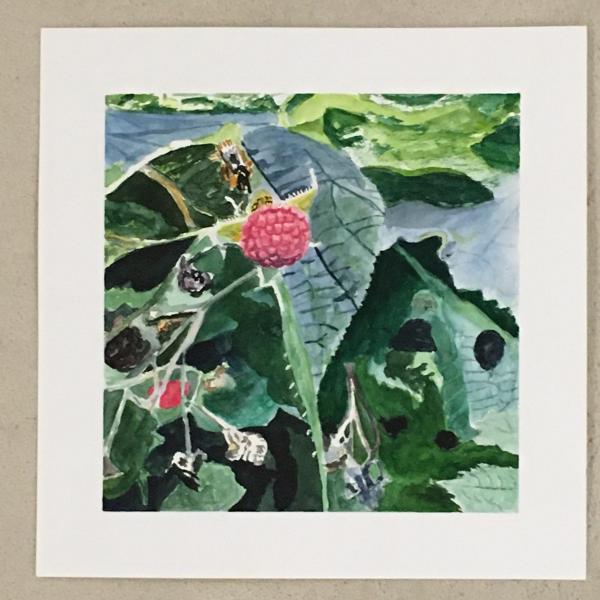 Wild Raspberries picture