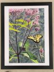 Swallowtail with Joe Pye Weed