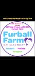 Furball Farm Cat Sanctuary