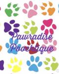 Pawradise Poochtique