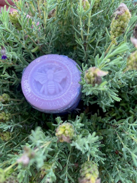 Goat Milk Soap Smaller, Round picture