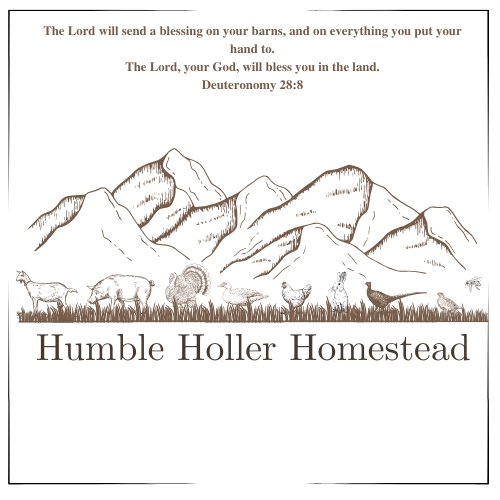 Humble holler homestead