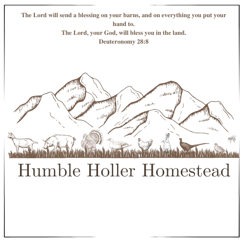 Humble holler homestead