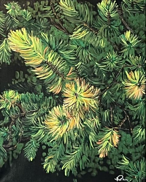 Muskoka Scotch Pine II picture