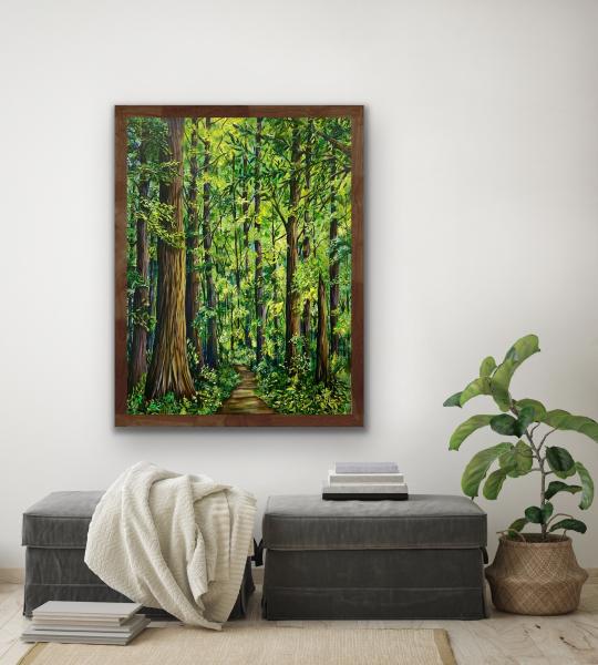 Red Woods Forest picture