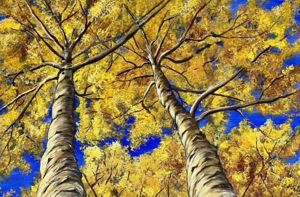 Blue Sky Birches