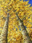 Fall Breeze