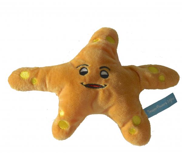 Steve the Starfish picture